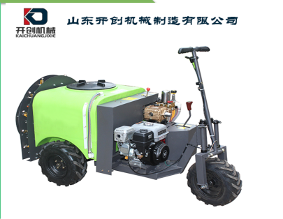  曲阜厂家直销/手推电动打药机3WFG-300系列/植保机械