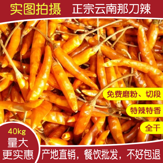 昆明 云南石屏特产那刀辣黄丹辣干辣椒特香特辣产地直销批发面节粉段