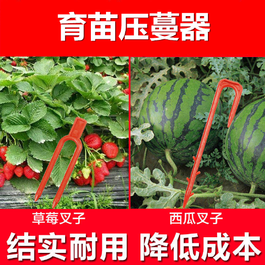 文安县草莓压蔓器草莓叉子甜瓜西瓜育苗压蔓器植物固定器压蔓生根压蔓