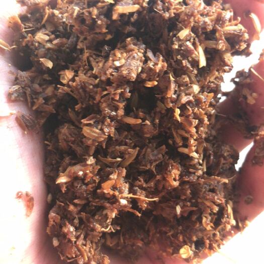 锦州优质白酒糟，蛋白含量高，大量供应纯粮食颗粒饱满ddgs原料