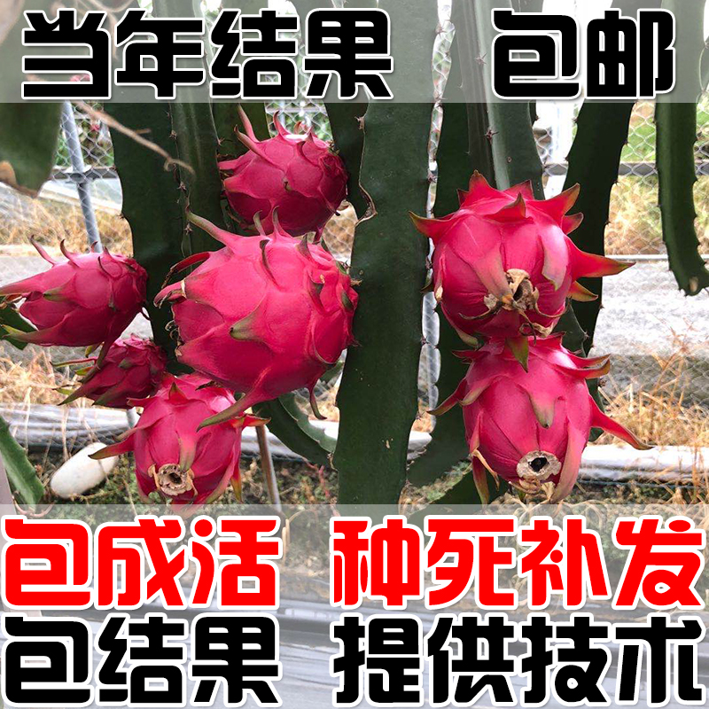 Ļ  Էۻ ֱ 