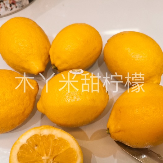 重庆市 柠檬新型品种甜柠檬