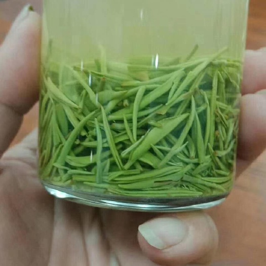 信阳 信阳绿茶毛尖