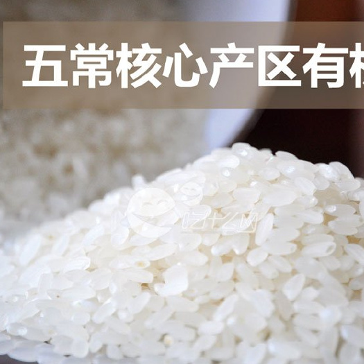 五常市 五常稻花香有机大米