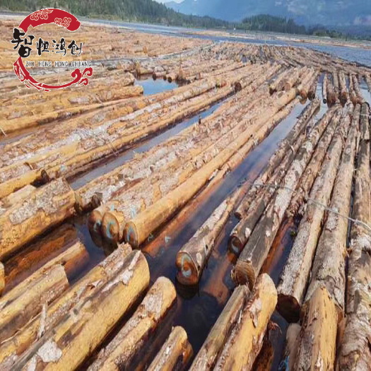 北京 樟松红松落叶松木方