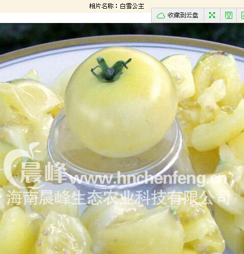 樱桃番茄种子  颜色独特的白色，番茄种子，厂家直销，白雪公主，漂亮独特口感好