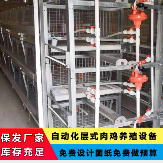 新乐市 肉鸡笼子自动清粪养殖场笼铁丝网片特大型号一体梯式立式加密优惠