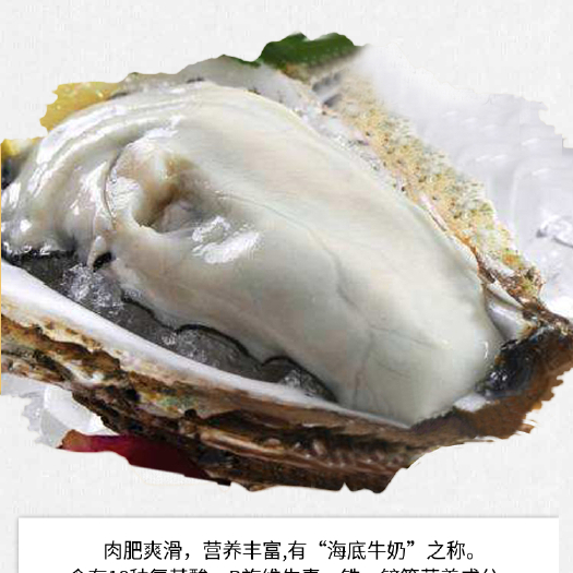 乳山市 原浆冷冻半壳乳山牡蛎，四季通用