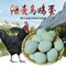 溧阳市绿壳鸡蛋 礼盒绿壳蛋
