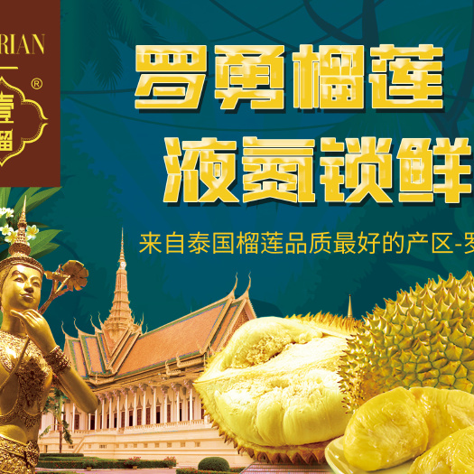 昆明 液氮泰国金枕榴莲果肉