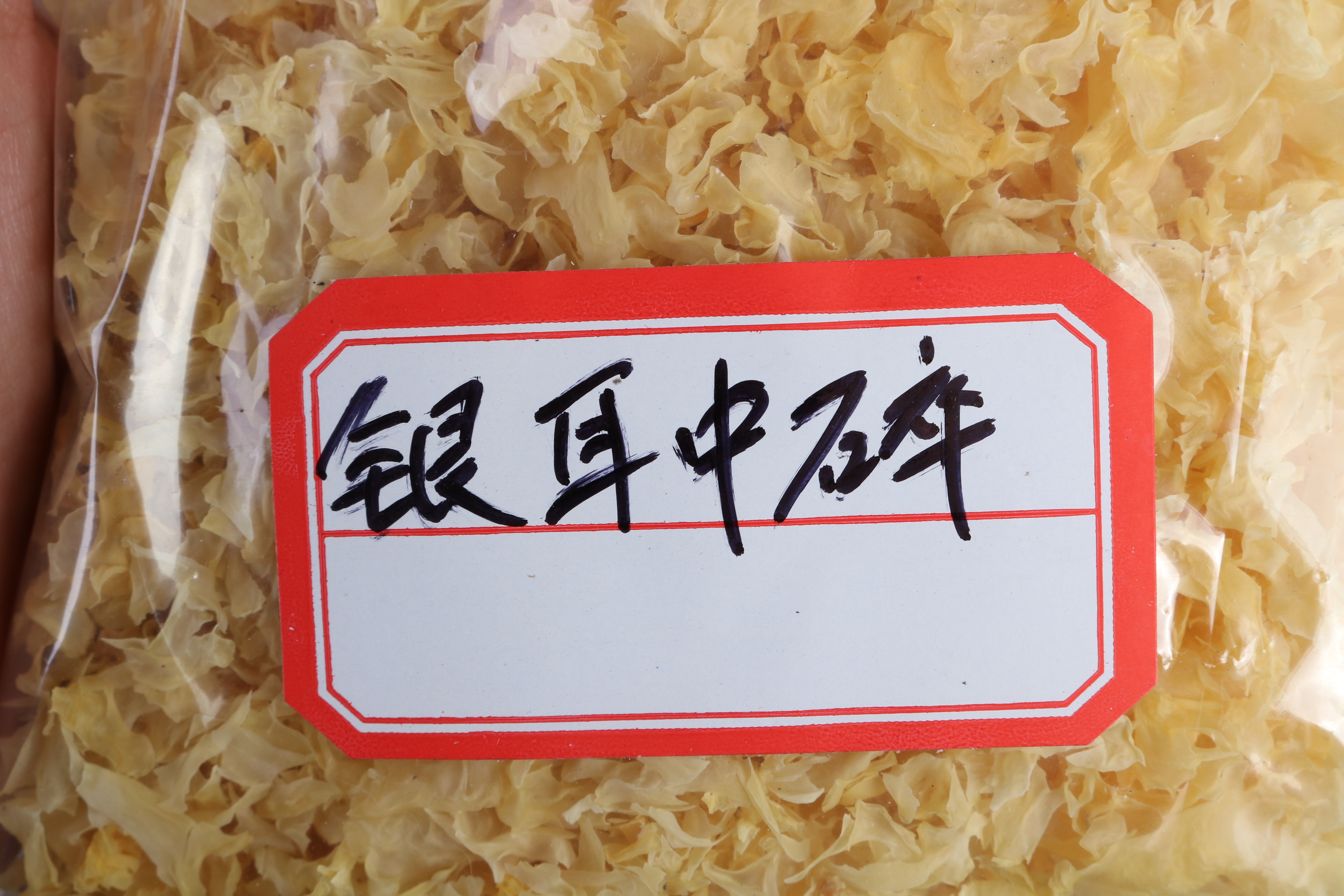 銀耳碎片  古田農(nóng)產(chǎn)品特產(chǎn)白木耳銀耳中碎2-3cm500克批