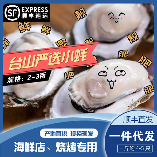 台山市台山蚝 台山【严选小蚝】2~3两  4元/斤 自产自销 信心保证