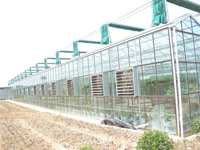 寿光市玻璃温室大棚 承建玻璃智能温室连栋大棚