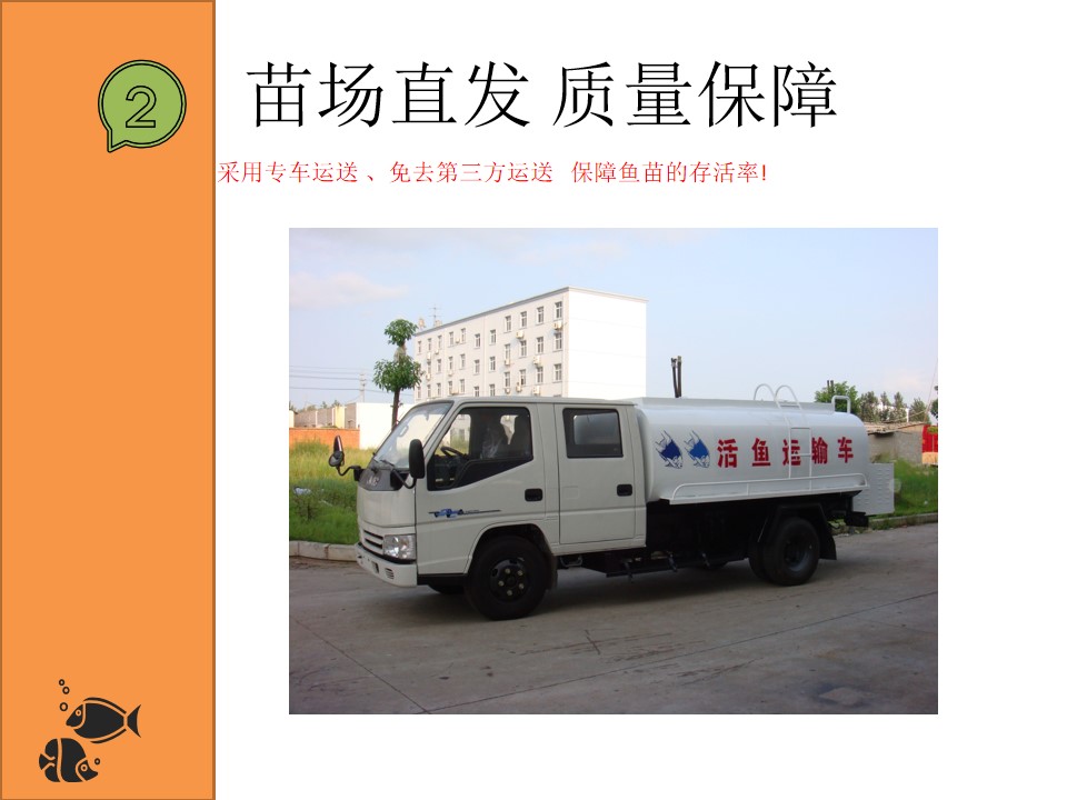  [批发泥鳅苗。量大从优、基地直供、免费送货上门。