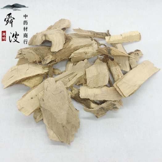 鄄城县【舜波中药材】毛冬青 各种规格 产地直供 量大从优