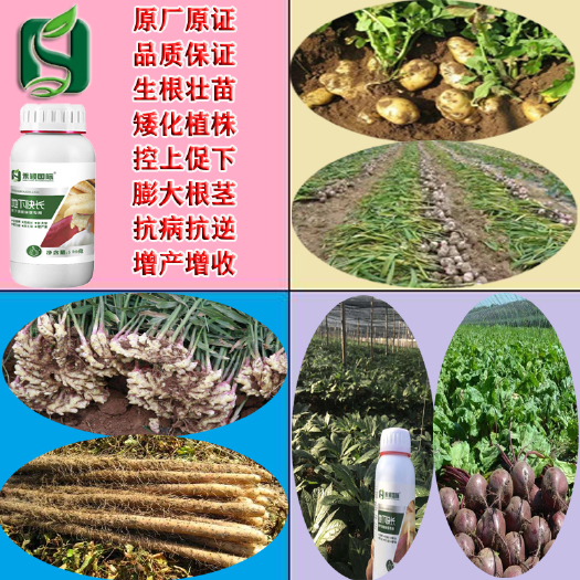 郑州蔬菜专用肥 块根块茎类作物专用地下快长叶面肥水溶肥冲施肥杀菌剂膨大绿叶