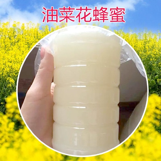 芮城县油菜蜜  30年蜜蜂养殖 \ 绵阳高浓度结晶油菜花蜜 \纯度