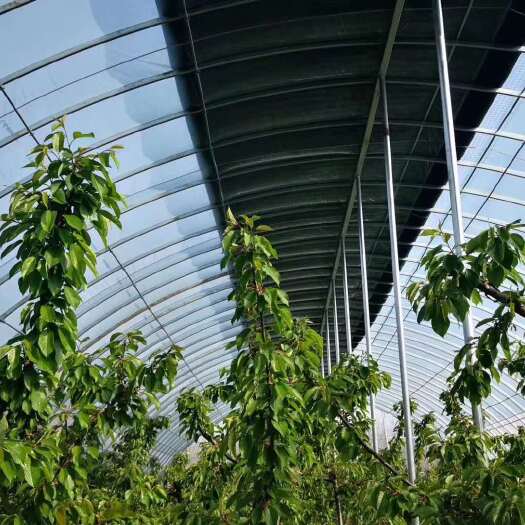 泊头市 玻璃温室大棚 大型玻璃温室建设 智能玻璃温室大棚厂家