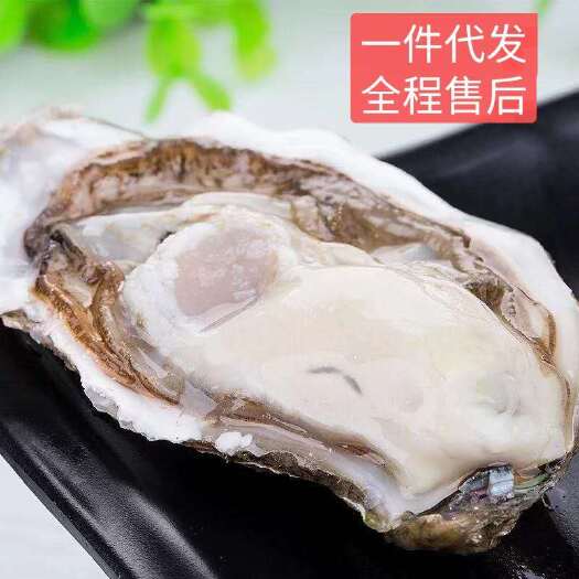 乳山市精品乳山生蚝9斤装包邮。送礼佳品，冷链速运，新鲜直发。