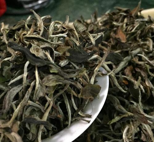  福鼎白茶贡眉散茶