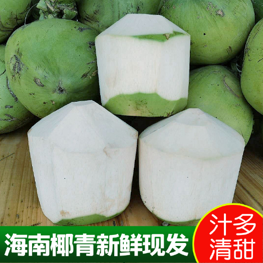 文昌市 海南新鲜椰子 椰青 4-9个装 工厂直发 包邮
