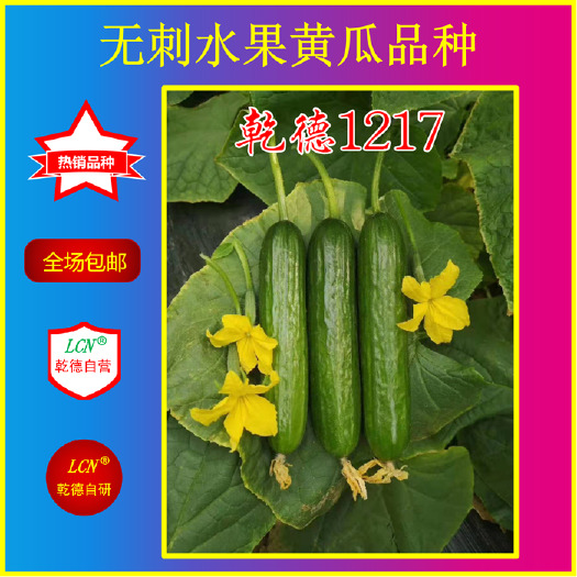 寿光市水果黄瓜种子  乾德1217，寿光最美小黄瓜品种，秋延，早春