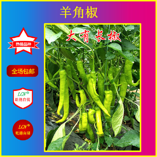 寿光市羊角椒种子 大有长椒，羊角椒，春秋茬品种