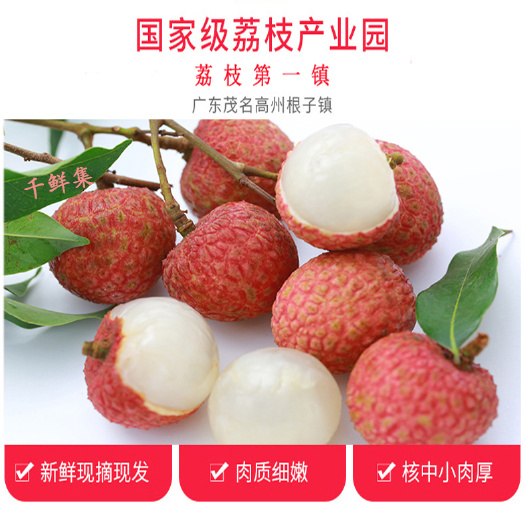 高州市高州市荔枝第一镇白糖罂荔枝 大唐荔乡白糖罂荔枝5斤装每箱