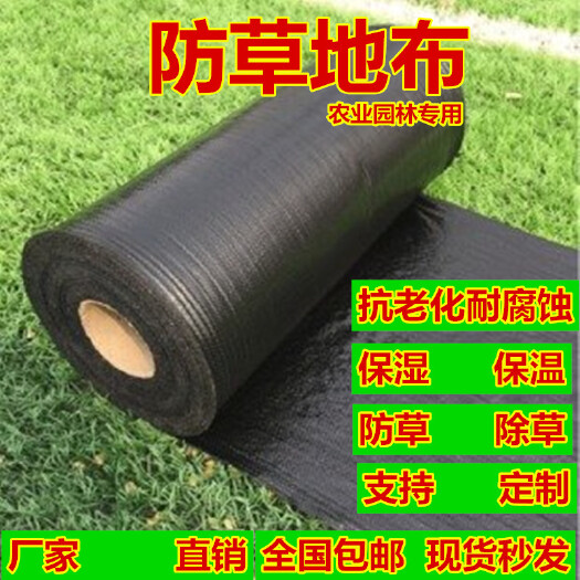 德州防草布  除草布 园艺地布  盖草布 果树 防草布地钉