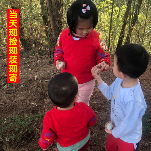 天柱县 北侗深山零饲料养土鸡蛋
