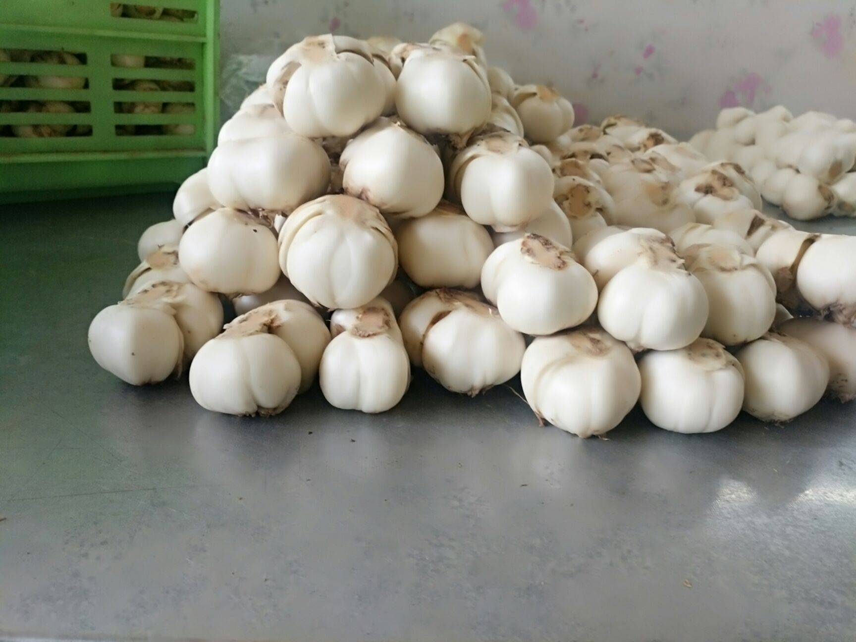  兰州鲜百合地头价详情可以关注公众号“政企联合”