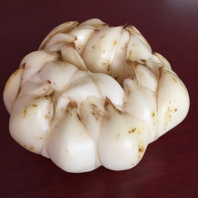  兰州鲜百合地头价详情可以关注公众号“政企联合”