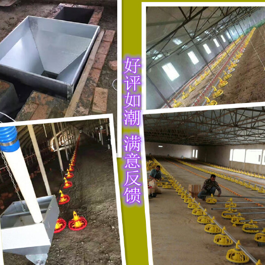 青州市养殖大棚 养殖场自动喂料机养鸡场全套投料系统鸡舍水线料线厂家直销