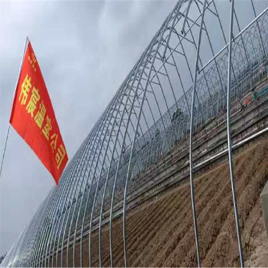 南皮县双膜骨架 河北供应大棚骨架双模骨架大棚配件