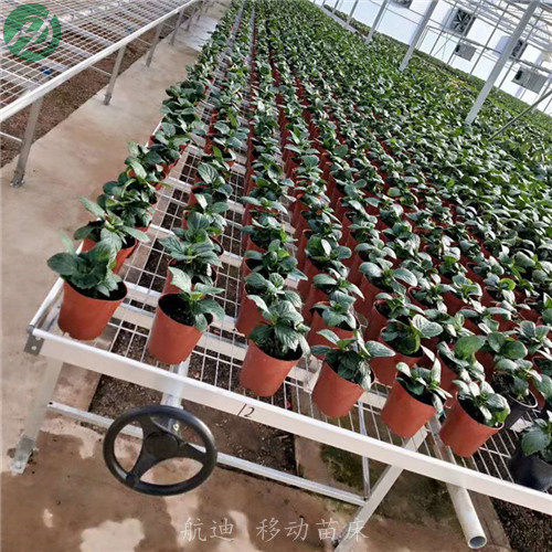 安平县蔬菜大棚 耐用型移动苗床-平移式苗床-加厚加料