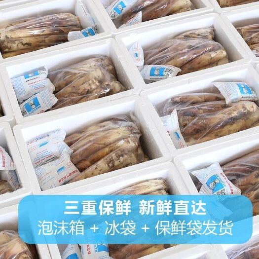 杭州 现挖新鲜春笋小嫩竹笋天目山雷笋油焖农家蔬菜类冬笋3/5/斤装
