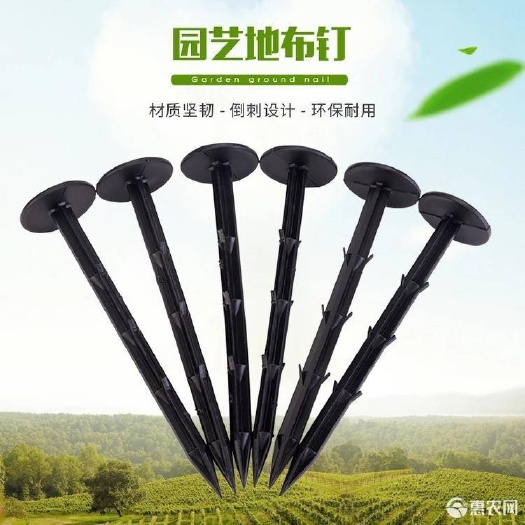 无棣县厂家直销 黑色防草布地钉倒刺钉 大棚除草布园艺果园地钉