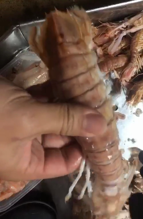 北海 皮皮虾，弹虾，濑尿虾，熟冻虾，小 中 大 重量可定做