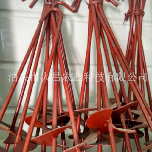 泊头市 厂家现货大棚螺旋地锚钢丝地锚批发
