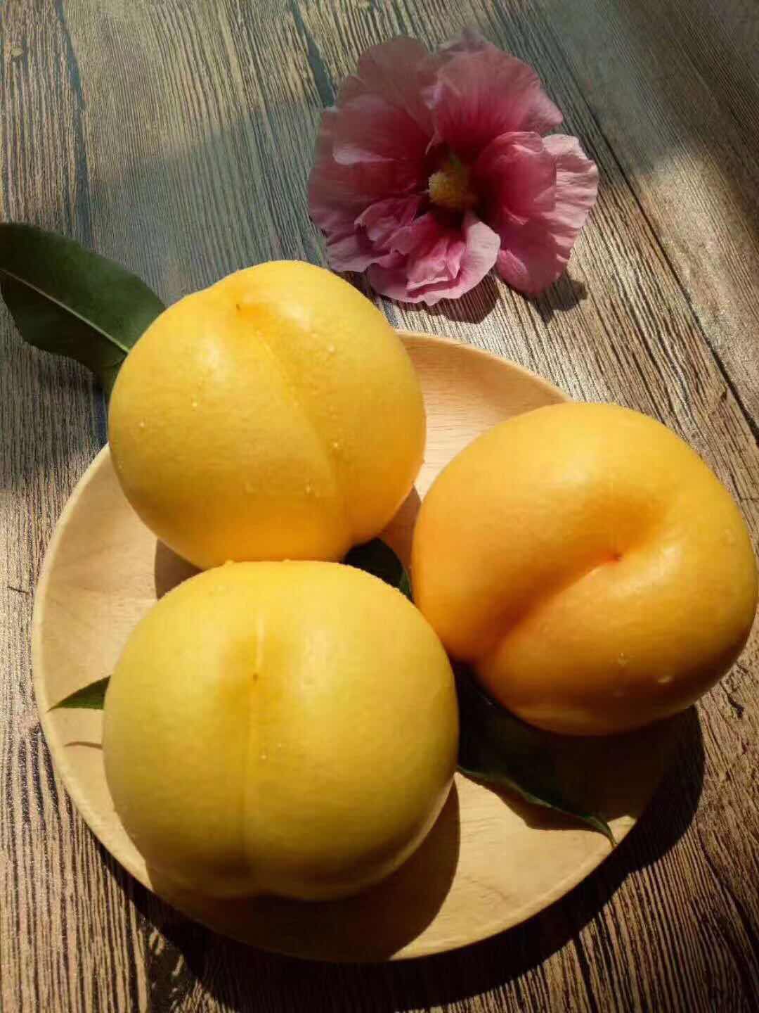  沂蒙山黄金油桃黄油桃 一件代发