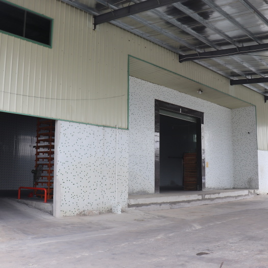 揭西县冷藏库租赁 揭阳市揭西县金和镇顶记冷库出租、冻库出租、租赁