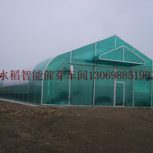 连体温室大棚 黑龙江水稻智能催芽车间