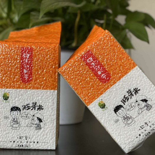  胚芽米软香