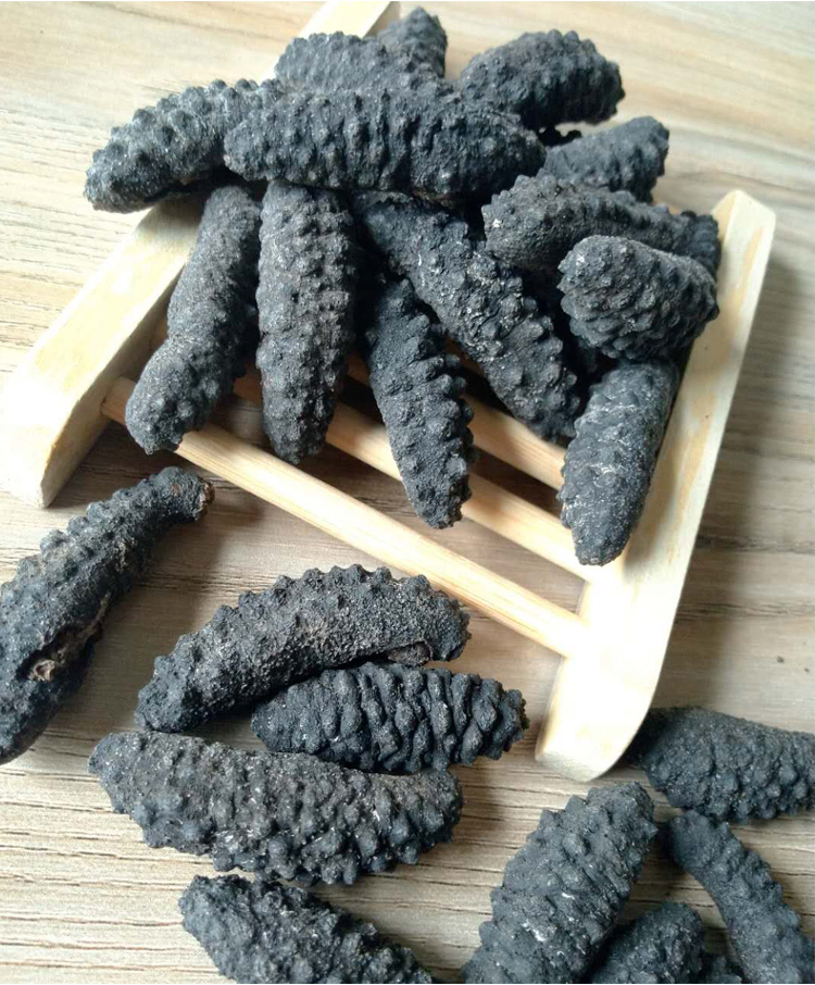  干海参干货小纯刺渗海
