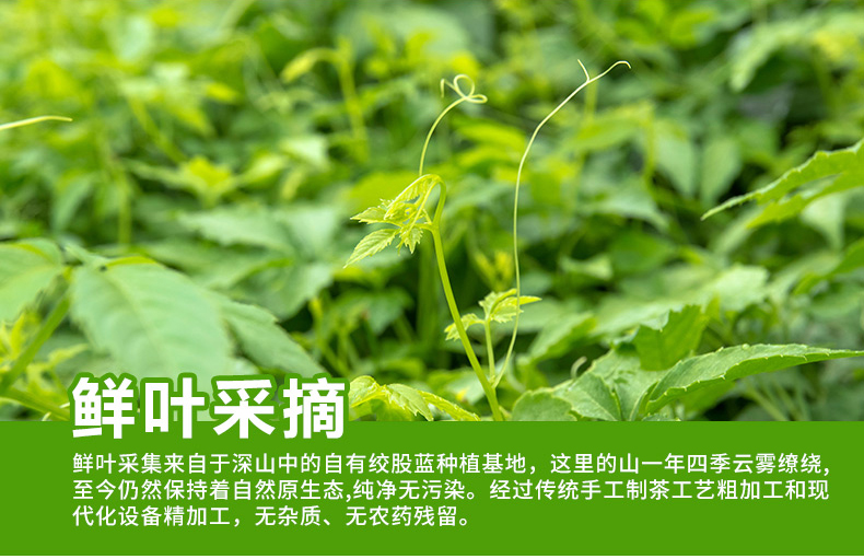 绞股蓝茶  绞股蓝龙须茶 手工采摘嫩芽尖 原汁原味 24小时