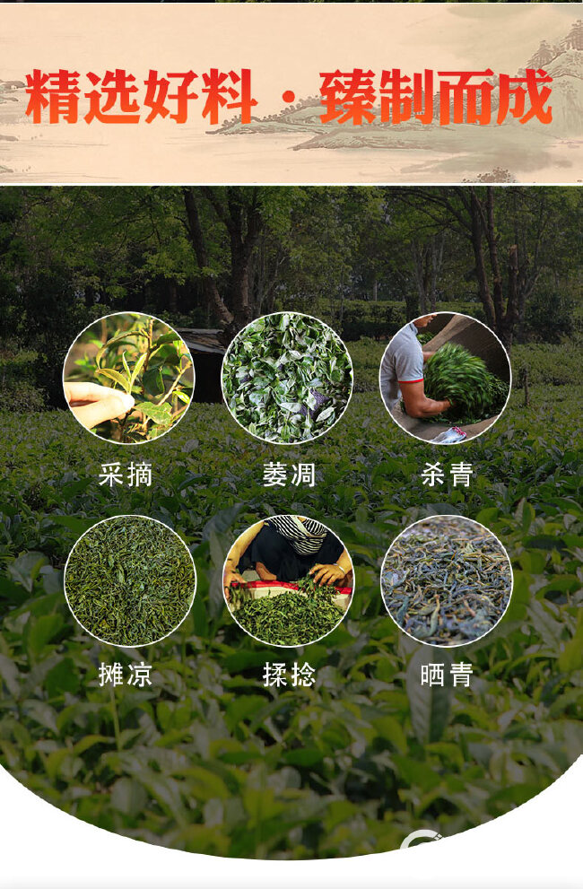 云南普洱茶生茶饼茶357g 老曼娥古树茶云南七子饼茶生茶