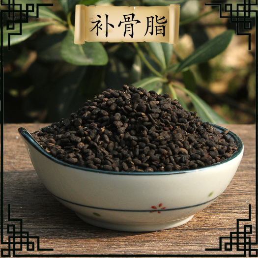 成都知择精选中药材补骨脂500g包邮破故纸饱满另有盐补骨脂中药