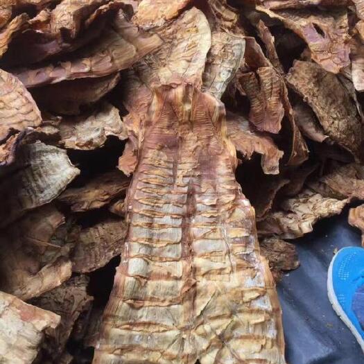 煙熏毛竹筍干 福建煙筍干 黑筍干 烏筍干包郵農(nóng)戶大量批發(fā)