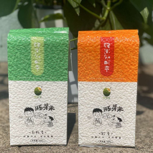  胚芽米软香