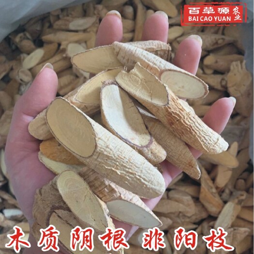 牛大力  干货 木质根干片 新鲜生晒木质牛根干 长期批发供应
